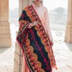 Hand Embroidered Dupatta