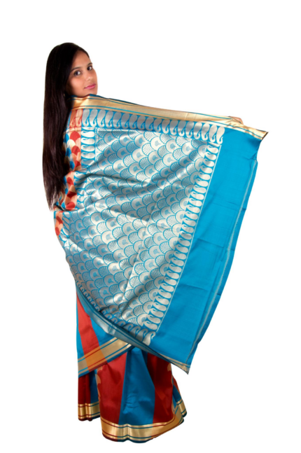 Stylish saree